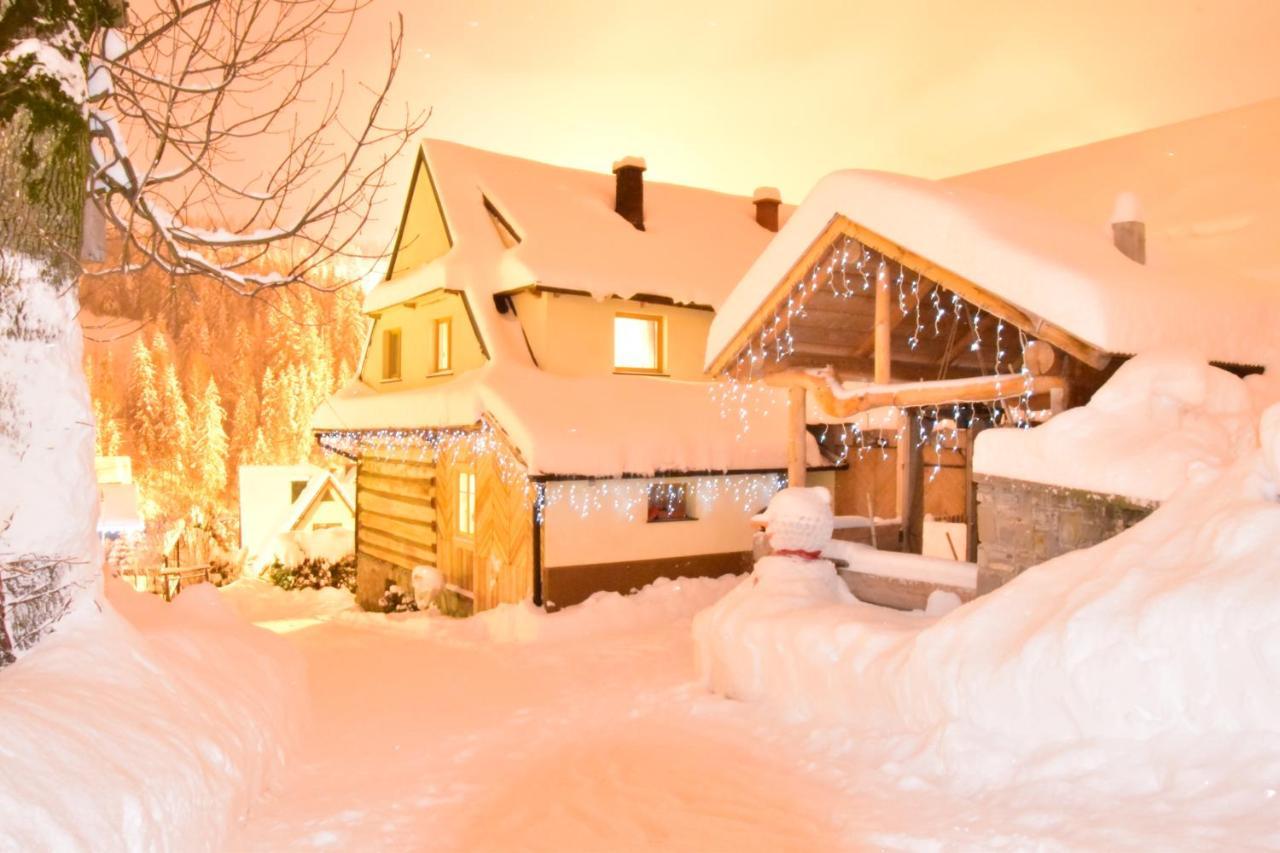 Homestay U Mlynorza